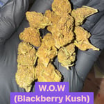 WOW ( Blackberry Kush)