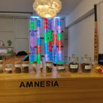 Amnesia (Weed Shop)