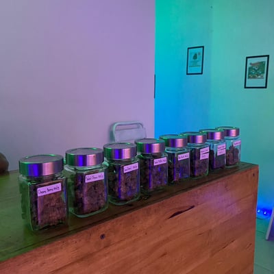 PGcannabiz เพื่อนกัญ ร้านกัญชาพิษณุโลก ร้านกัญชาใกล้ฉัน product image