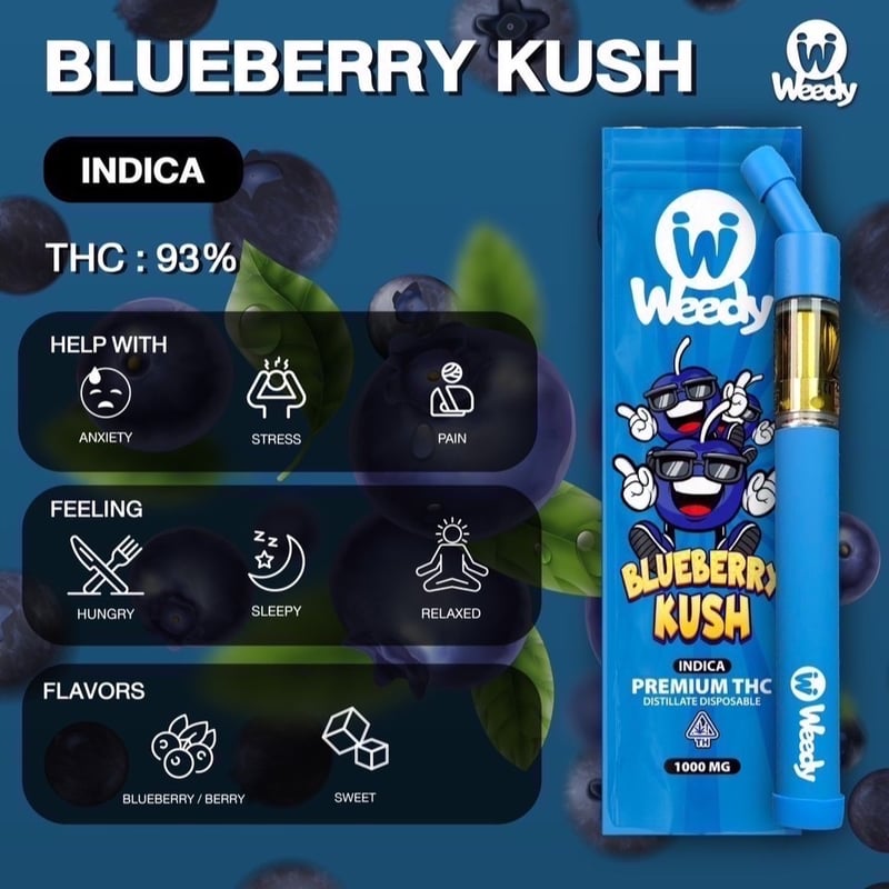Blueberry Kush Vape at Thaistick สาขาบางซื่อ ร้านขายกัญชา 24hrs in Bangkok 