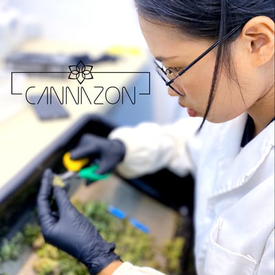 CANNAZON cannabis farm & weed dispensary product image