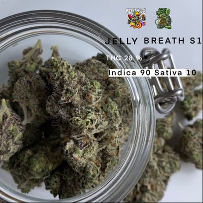 Jelly Breath S1