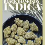 Black Diamond (AKA BLACK DIAMOND OG)