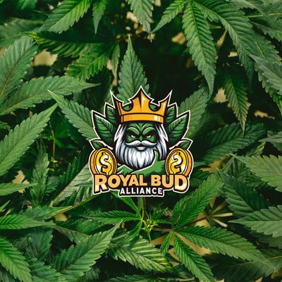 Royal Bud Alliance - Medical Cannabis Farm