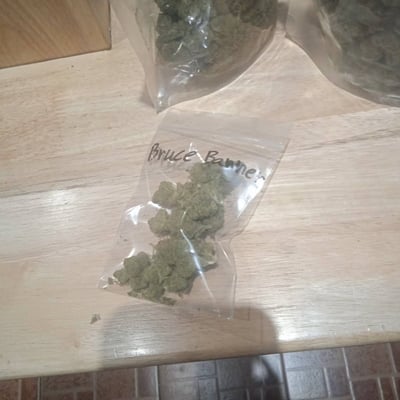 Farmkho420 Shop product image