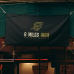 8 miles high