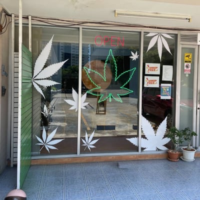 WeedHorny.com Central Bangna product image