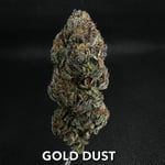 GOLD DUST 