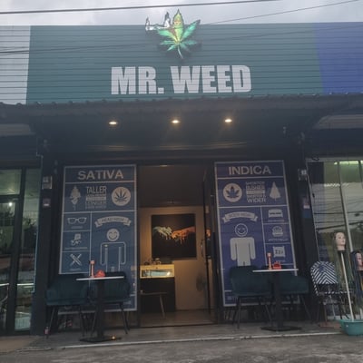MR.WEED product image