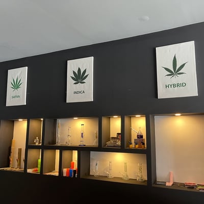 GanjaShop (กัญชาช็อป) / Canabis Dispensary product image