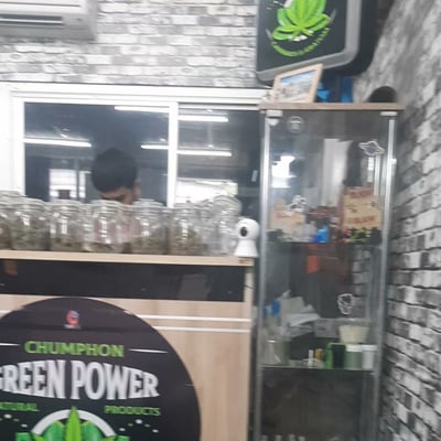 กรีน พาวเวอร์ GREEN POWER CANNABIS & KRATOM CHUMPHON product image