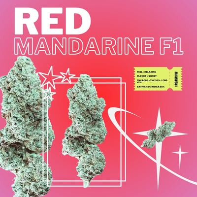 Red Mandarine F1