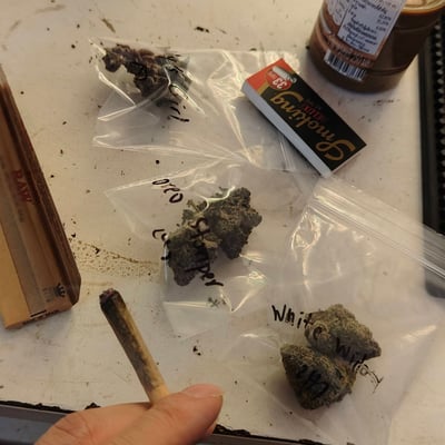 Batnaherb Weed and Cannabis Dispensaries สาขา หน้า วค. (ร้านกัญชา) Songkhla product image