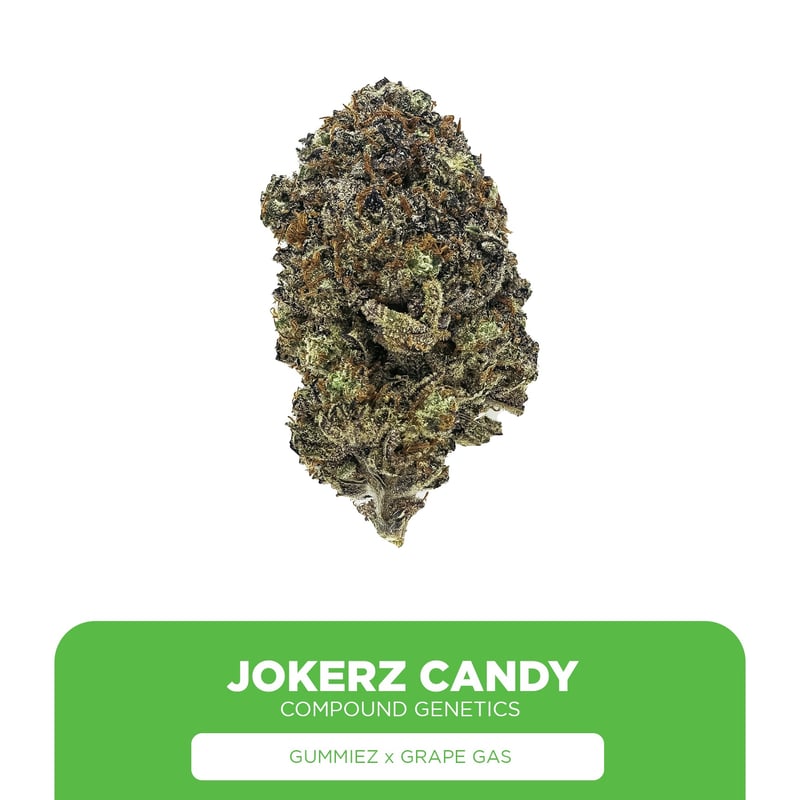 phish DOWN ON THE CORNER THC joint サイケ Pacific North West Roots - Overgrow.com
