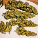 HIGH & ROLL Shop (Cannabis / Hemps / Weeds)