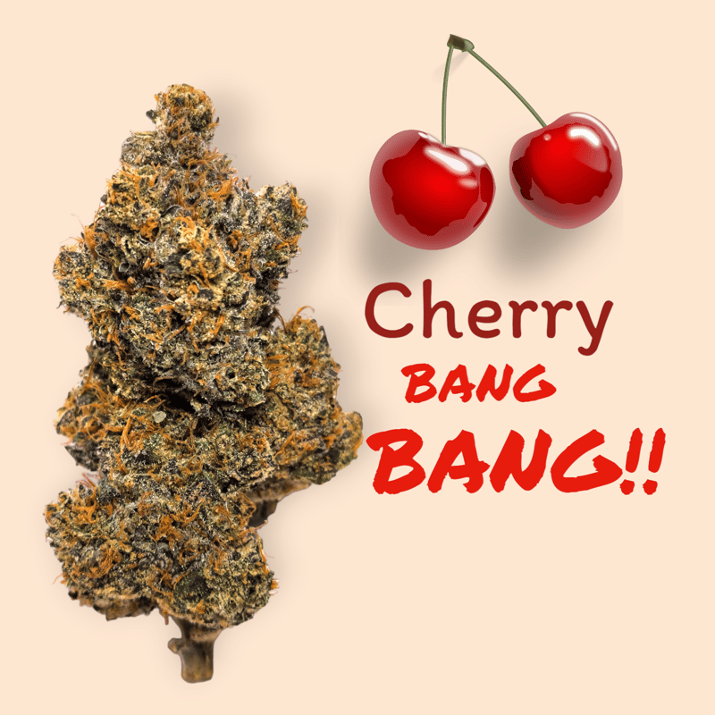 Cherry Bang Bang Strain Info / Cherry Bang Bang Weed By Exotic
