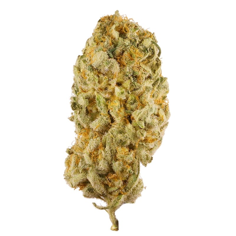 Jack herer Cannabis Flower at PAPA WEED cannabis marijuana in