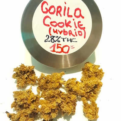 Gorila Cookie