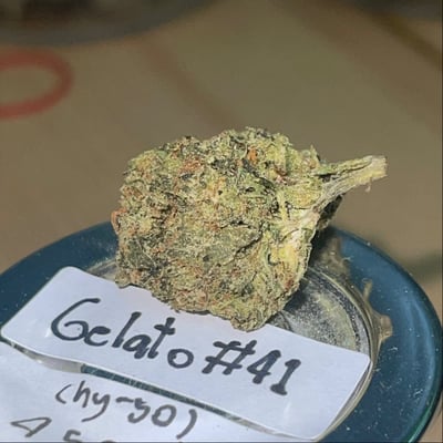 Gelato #41