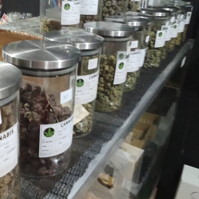 plaza cannabis station 2 product image