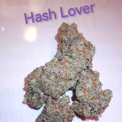 Hash lover