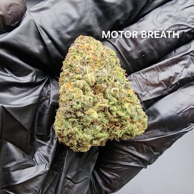 Motor Breath