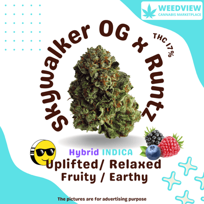 Skywalker OG x Runtz