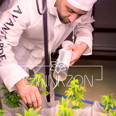 Cannazon cannabis farm product image