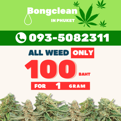 Bongclean weed&restaurant shop.weed&food delivery product image