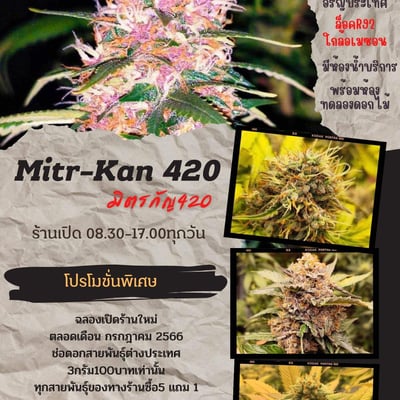 Mitr Kan cannabis product image