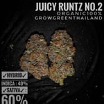 Juicy runtz