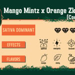 Mango Mintz x Orange Zkittlez