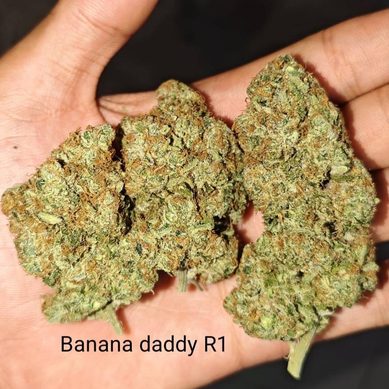 Banana daddy R1 Cannabis Flower at Urayka weed&roll in Trang Weed in