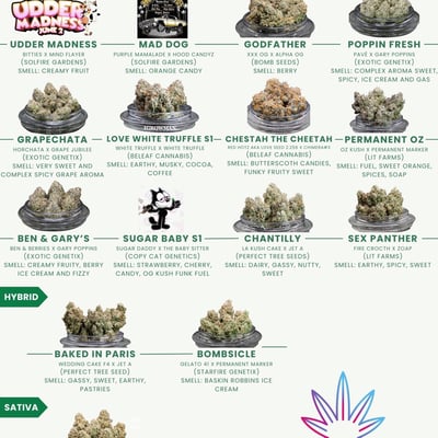 Bottoms Up by weed 420 product image