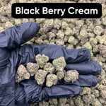 Black Berry Cream