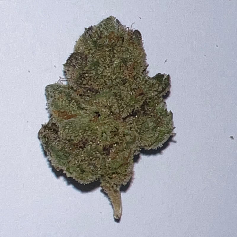 Apple Banana Sundae Cannabis Flower at Bodega Dispensary in Pattaya