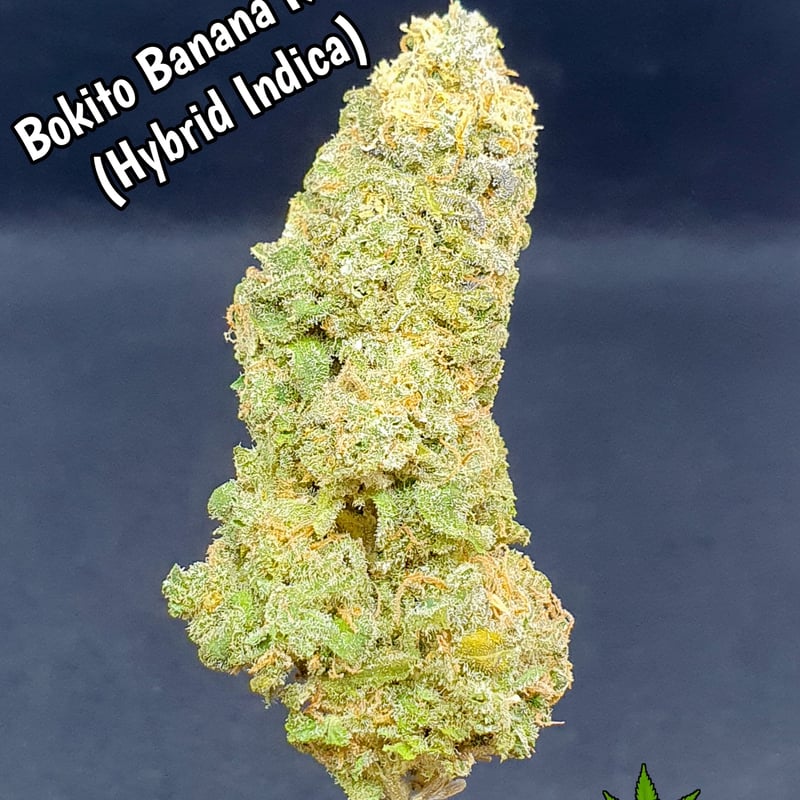 Bokito Banana Kush Cannabis Flower at SWEEDD Cannabis Dispensary
