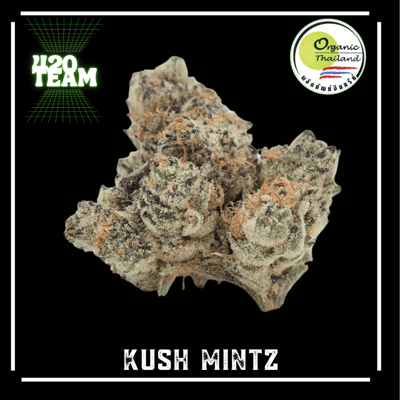 KUSH MINT Z (Organic)