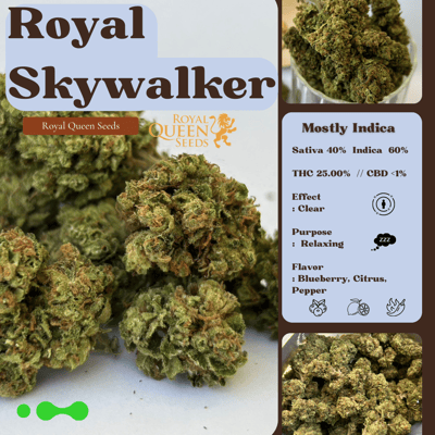 Royal Skywalker