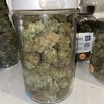 Sap Cannabis farm