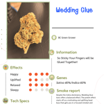 Wedding glue
