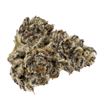 White truffle 