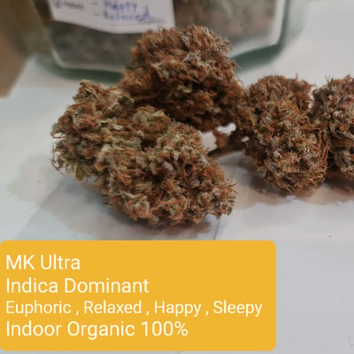 MK-Ultra