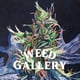 Weed Gallery