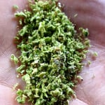 Lanta Highland Weed / Cannabis Cafe
