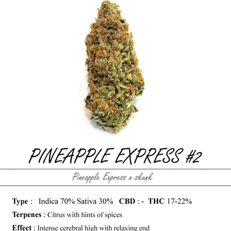 Pineapple Express #2 Cannabis Flower at 222fullBuds in Samut Prakan - Weed  in Thailand