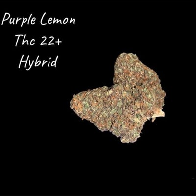 Purple Lemon