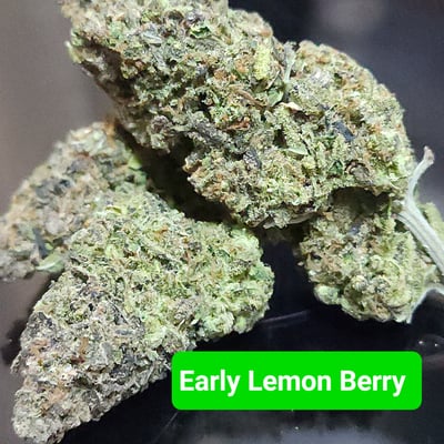 Early Lemon Berry