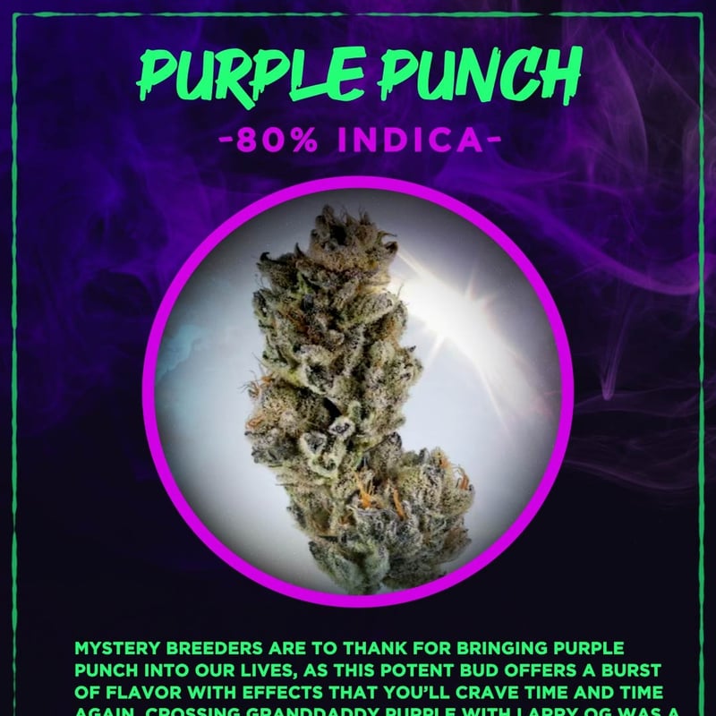 Purple Punch Cannabis Flower at HIGHLAND PATONG CANNABIS LOUNGE in Phuket Weed in Thailand