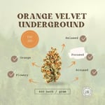 Orange Velvet Underground